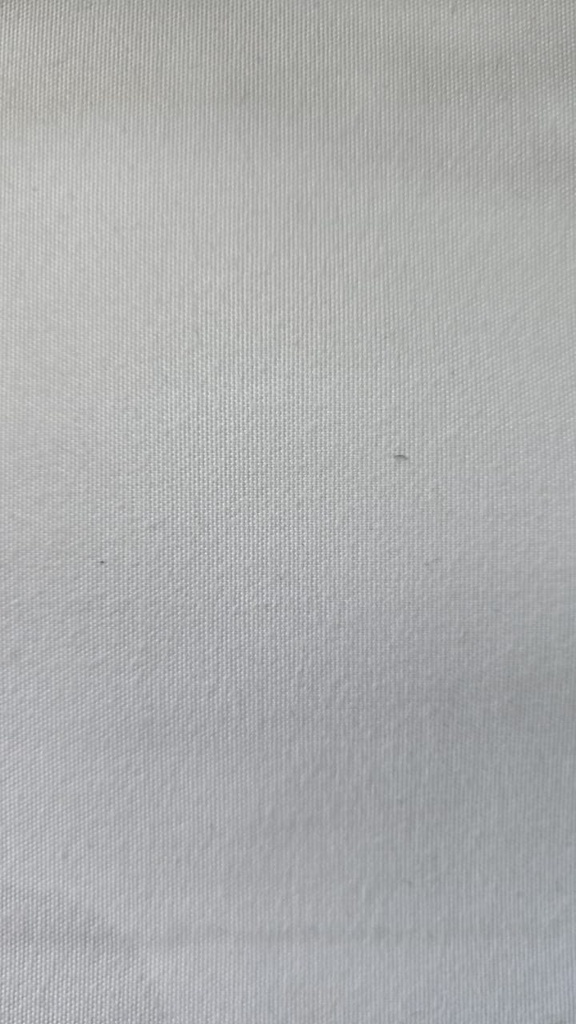 Silkhouse Coated Blackout Lining Ivory White