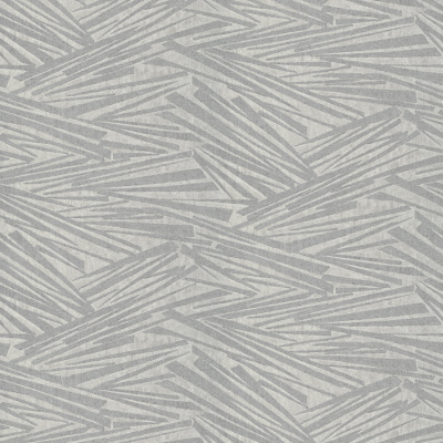 Silkhouse Astro Silver Wallpaper Casa Mila