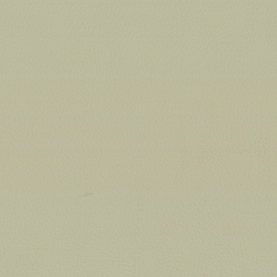 Caprice Outdoor - Formentera Vinyl Upholstery Fabric in Vanilla (140cm Wide)