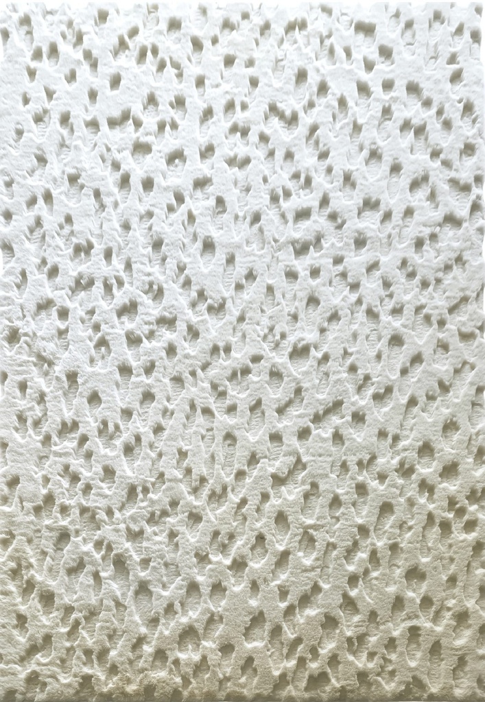 Silkhouse Wadi Beach Rug 190×290