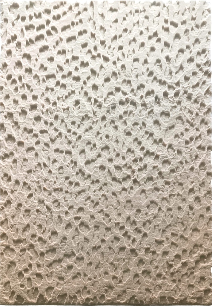 Silkhouse Wadi Golden Sand Rug 190×290