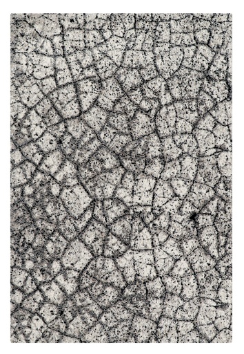 Silkhouse Lynx Gunpowder Rug 240×340 cm Abstract Low Pile
