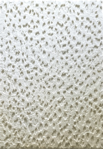 Silkhouse Wadi Beach Rug 190×290 cm Abstract Low Pile