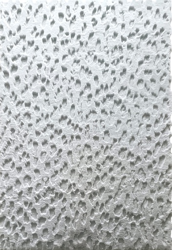 Silkhouse Wadi Mist Rug 190×290